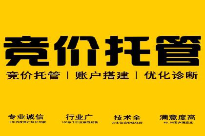 某品牌SEM广告投放的ROI提升案例